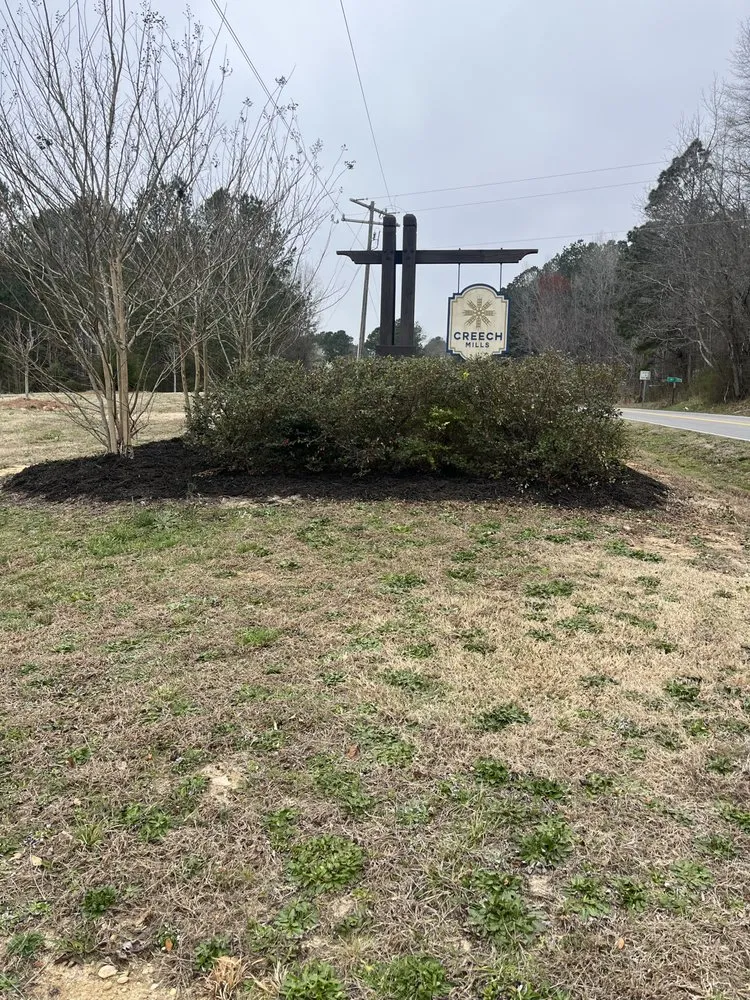 Professional yard cleanup service in Clayton, NC - Five Alarm Lawn Care