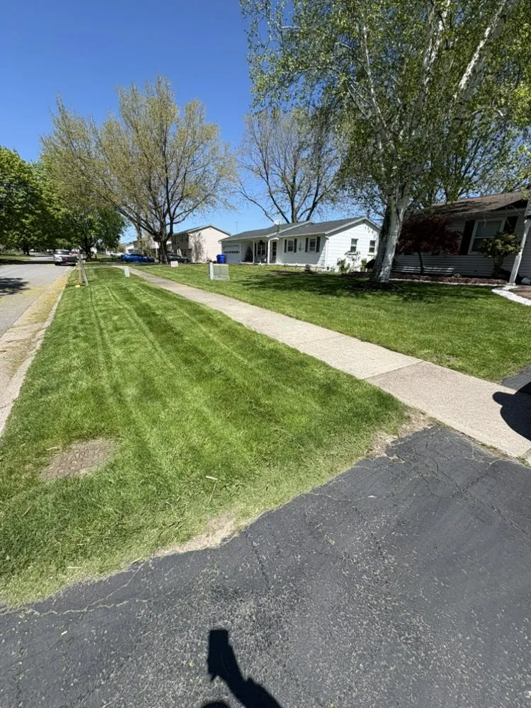 Local lawn care service near you in Rochester, NY by Five Alone Landscaping