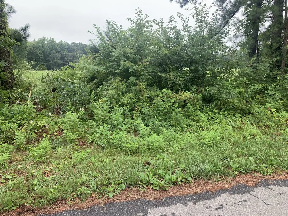 Professional residential landscaping in Gladys, VA - Five Blessings Property Care