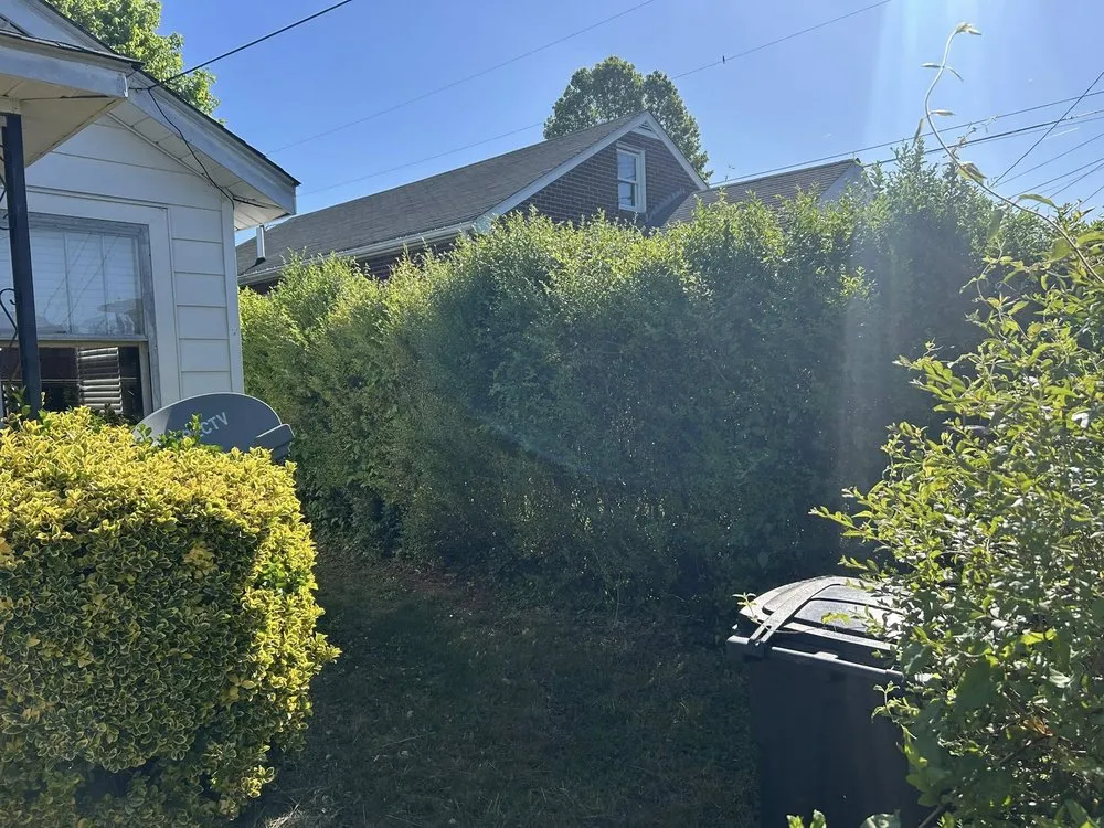 Top-rated garden landscaping experts serving Gladys, VA - Five Blessings Property Care