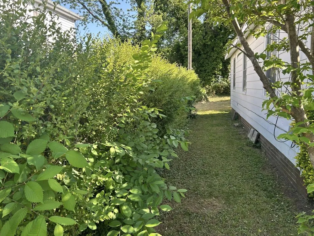 Local landscape installation experts serving Gladys, VA - Five Blessings Property Care