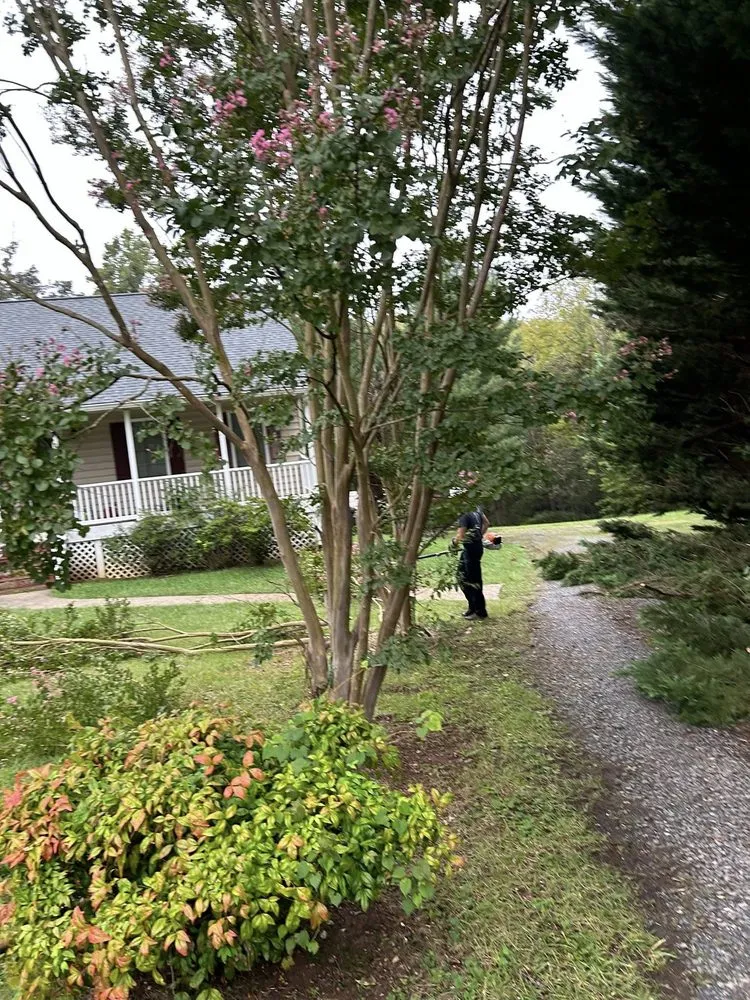 Affordable landscaping services for outdoor upgrades across Gladys, VA - Five Blessings Property Care