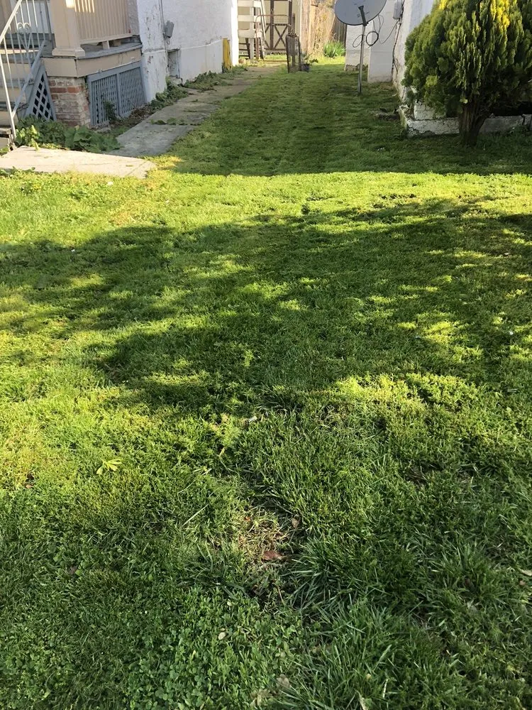 Reliable landscaping services in Winchester, VA by Five Boys Landscaping and Lawncare