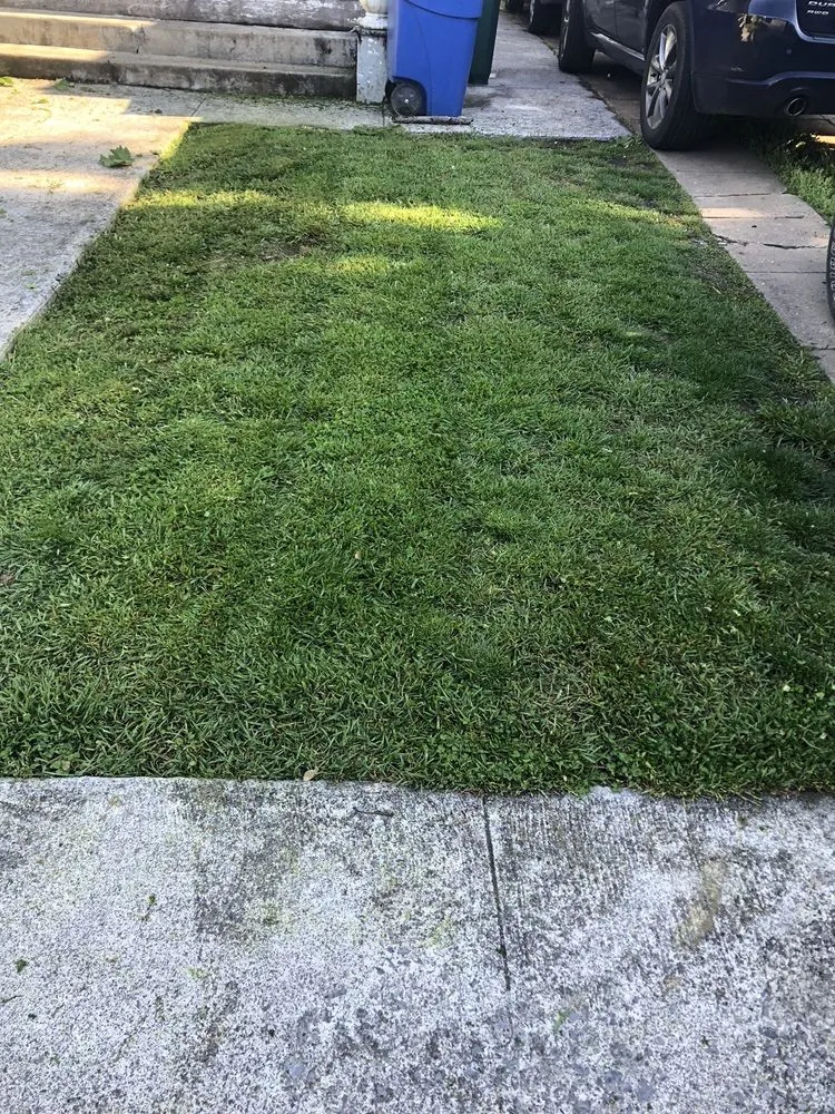Expert lawn care service for year-round maintenance in Winchester, VA by Five Boys Landscaping and Lawncare