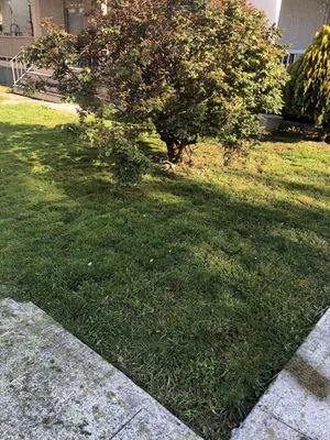 Five Boys Landscaping and Lawncare Logo