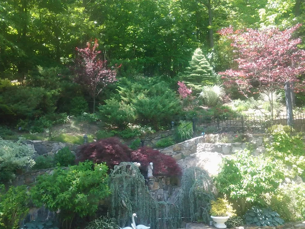 Affordable outdoor landscaping for year-round maintenance in Yonkers, NY by Five Brothers Enterprises