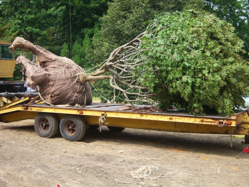 Professional garden landscaping experts serving Yonkers, NY - Five Brothers Enterprises