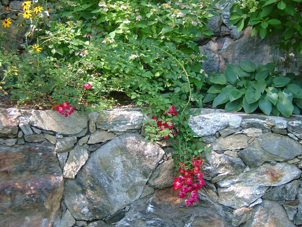 Trusted yard cleanup service in Yonkers, NY - Five Brothers Enterprises