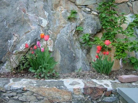 Five Brothers Enterprises