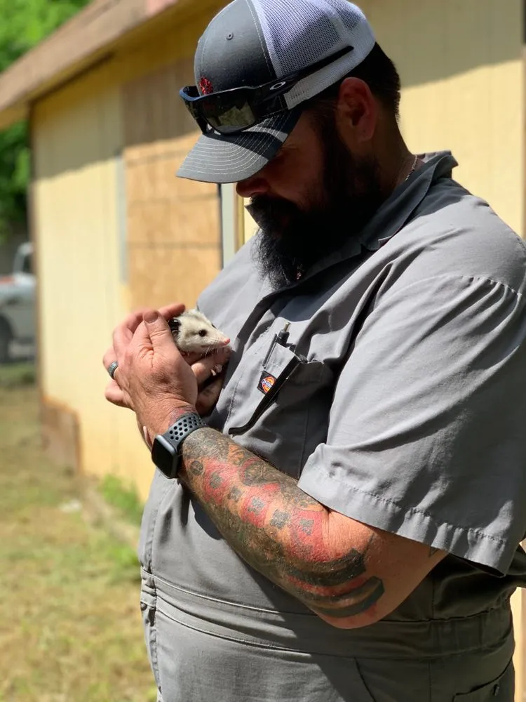 Reliable landscaping services for outdoor upgrades across Copperas Cove, TX - Five Brothers Lawn Care & Chimney Sweep