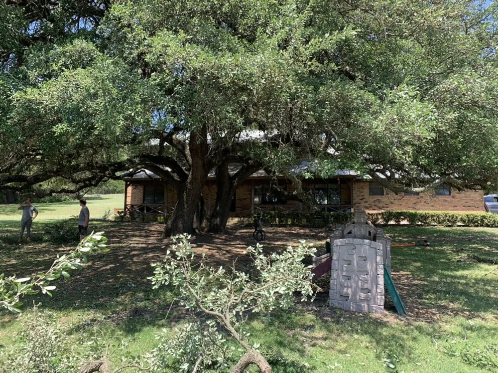 Trusted landscaping services for residential properties across Copperas Cove, TX - Five Brothers Lawn Care & Chimney Sweep