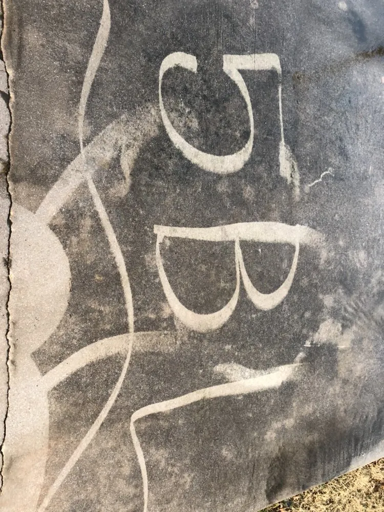 Trusted yard cleanup service in Copperas Cove, TX - Five Brothers Lawn Care & Chimney Sweep