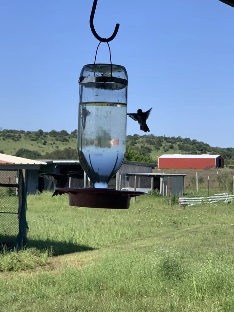 Reliable yard maintenance for beautiful yards in Copperas Cove, TX by Five Brothers Lawn Care & Chimney Sweep