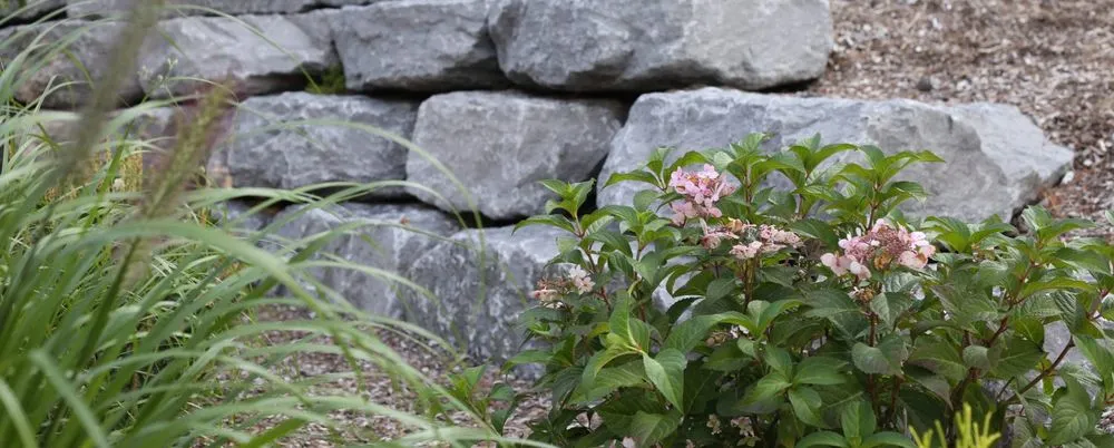 Affordable landscape installation in Trimble, MO - Five Crown Turf & Landscape