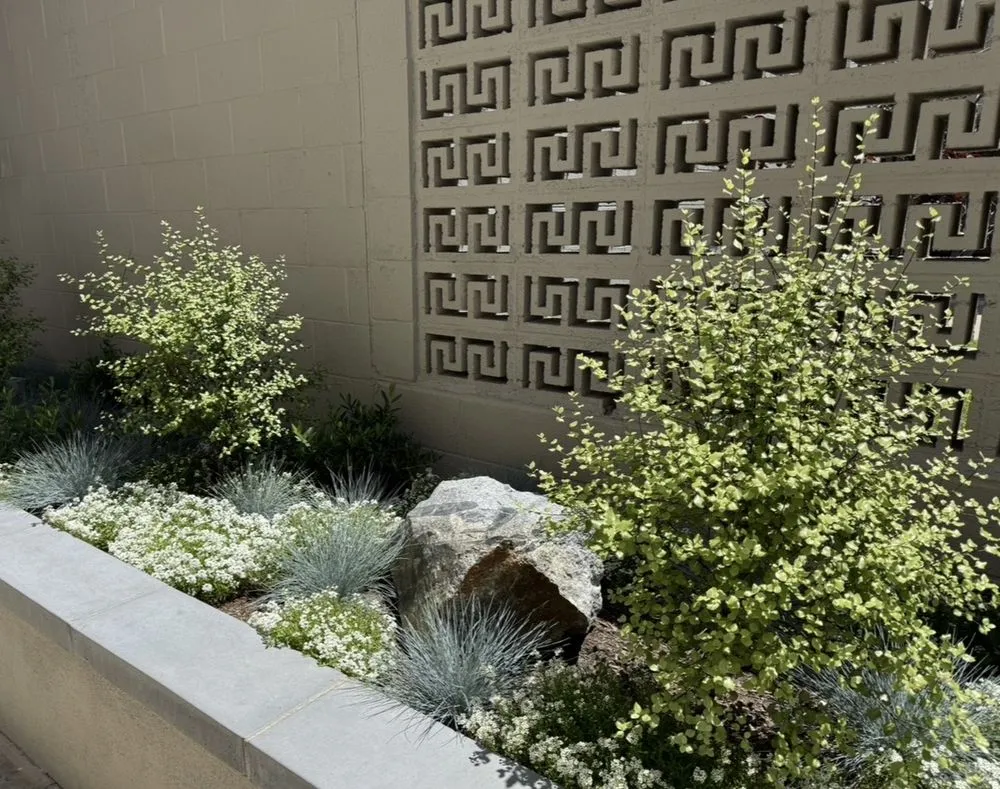 Local residential landscaping in Redondo Beach, CA - Five Diamond Landscape