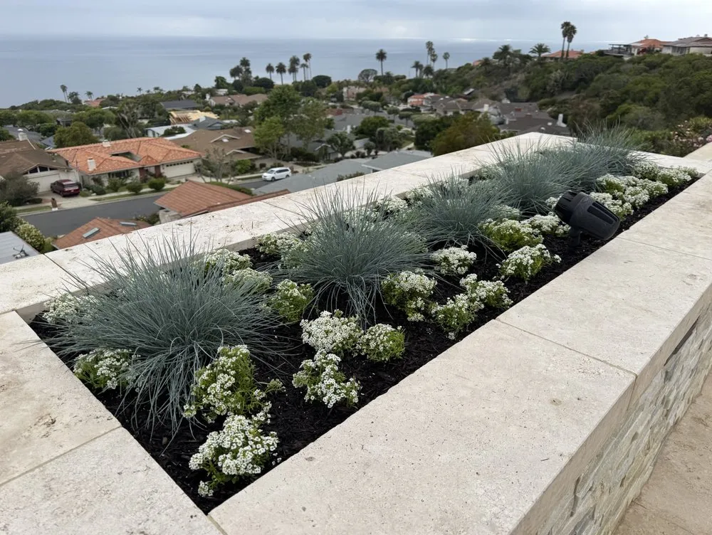 Local residential landscaping for beautiful yards in Redondo Beach, CA by Five Diamond Landscape