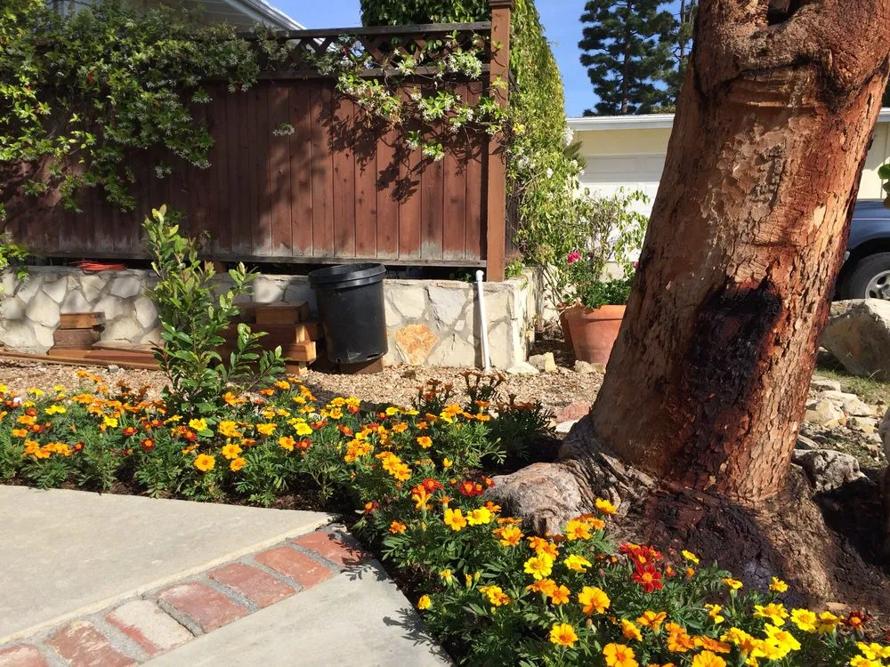 Professional landscape design in Redondo Beach, CA - Five Diamond Landscape