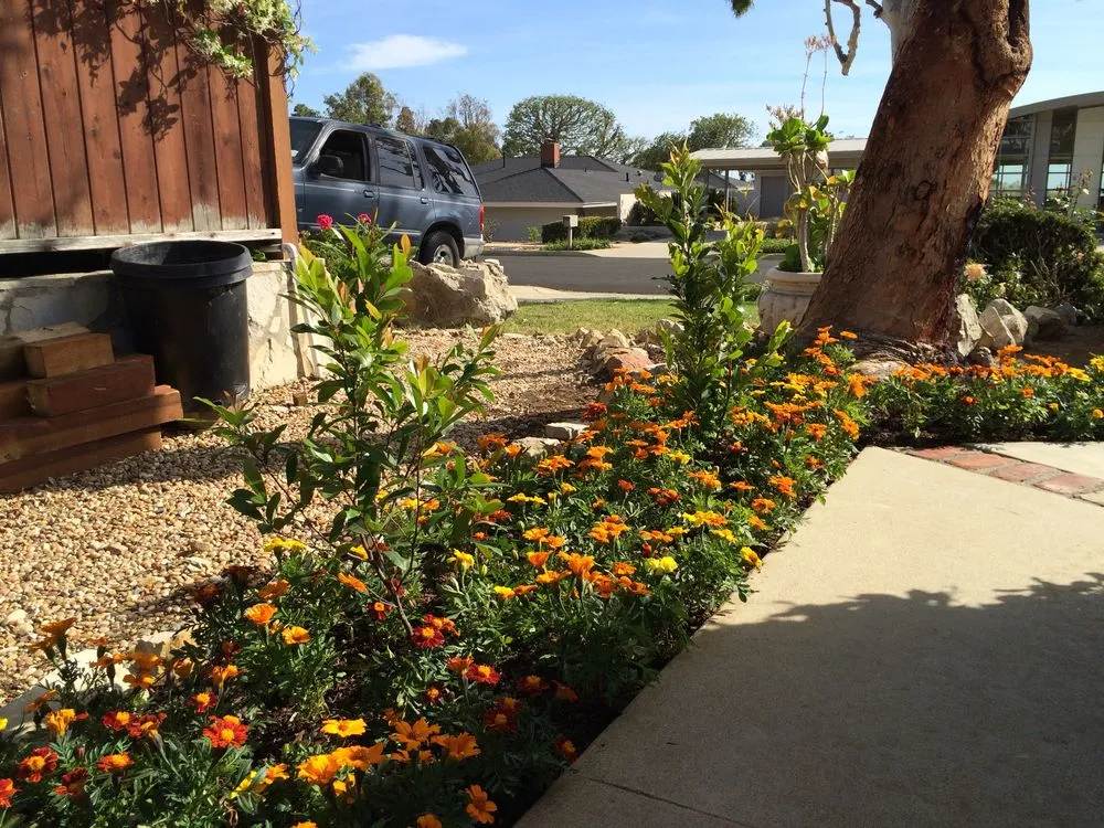 Affordable outdoor landscaping experts serving Redondo Beach, CA - Five Diamond Landscape