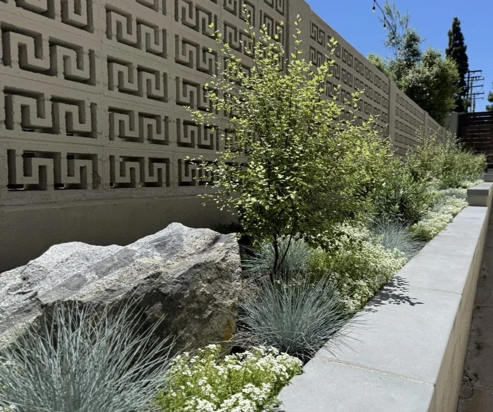 Affordable lawn care service for outdoor upgrades across Redondo Beach, CA - Five Diamond Landscape