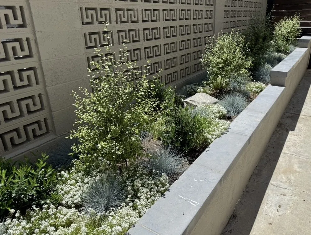 Reliable outdoor landscaping near you across Redondo Beach, CA - Five Diamond Landscape