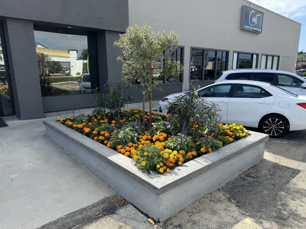 Trusted landscape installation in Redondo Beach, CA - Five Diamond Landscape