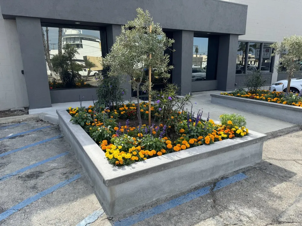 Affordable lawn mowing service in Redondo Beach, CA - Five Diamond Landscape