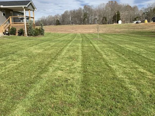 Five Eight Lawn Care