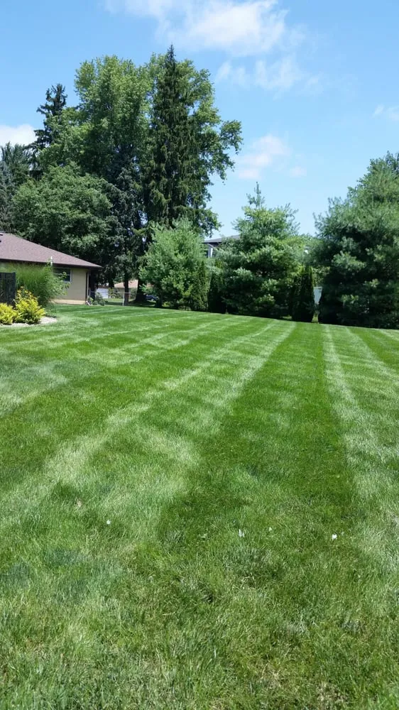 Local residential landscaping for homes across Springfield, OH - Five Guys Property Maintenance