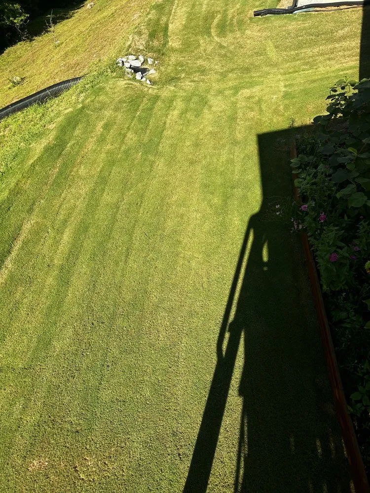 Custom yard maintenance for residential properties across Buford, GA - Five M