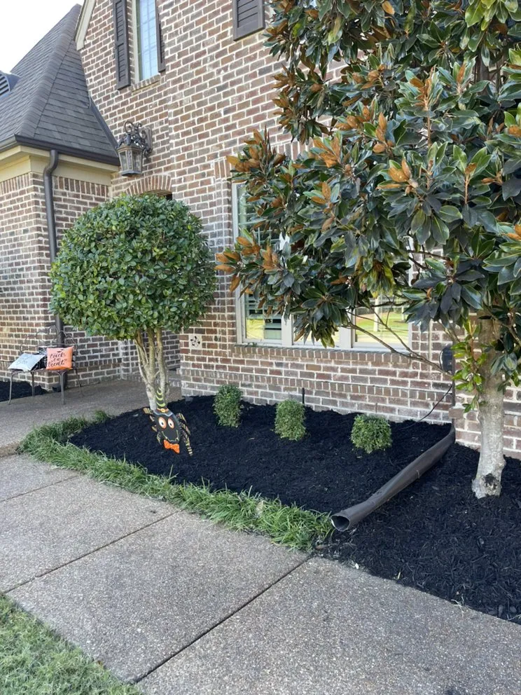 Reliable residential landscaping with custom design across Collierville, TN - Five-O lawn service