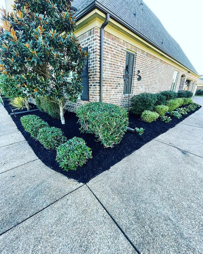 Affordable lawn care service in Collierville, TN by Five-O lawn service