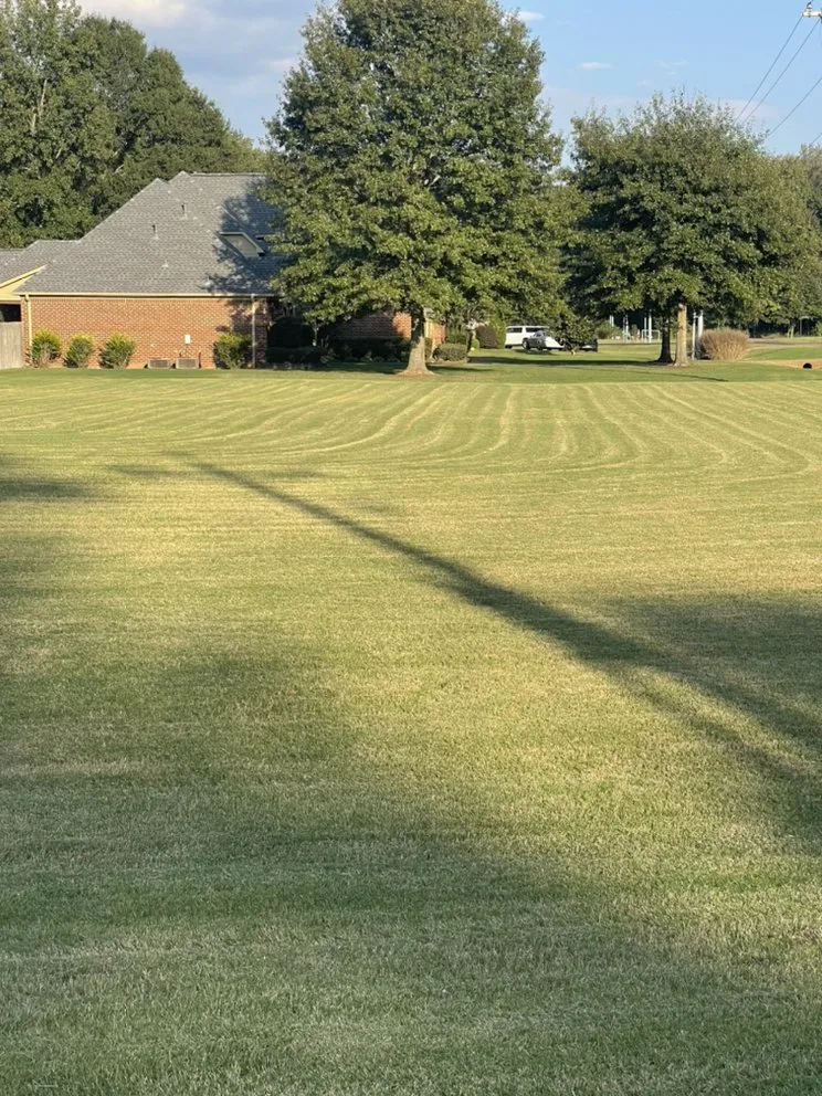 Top-rated residential landscaping in Collierville, TN by Five-O lawn service
