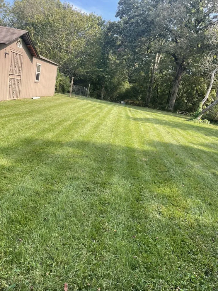 Expert yard maintenance experts serving Collierville, TN - Five-O lawn service
