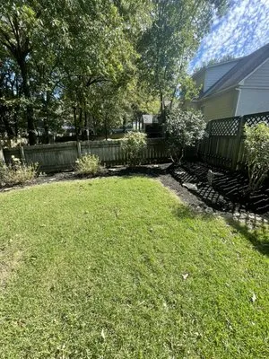 Five-O lawn service Logo