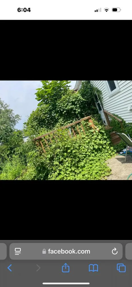 Affordable lawn mowing service in Watervliet, NY by Five one scape