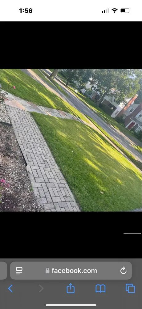 Expert lawn care service experts serving Watervliet, NY - Five one scape