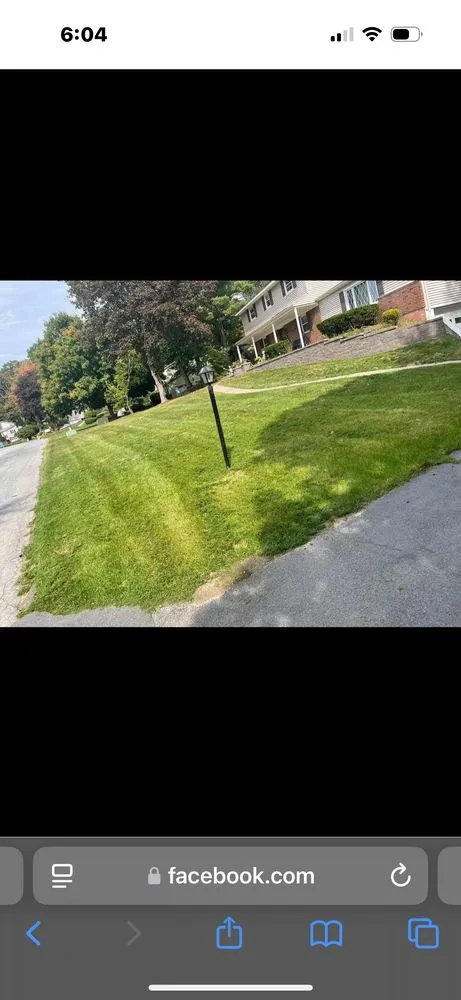 Expert yard cleanup service near you in Watervliet, NY by Five one scape