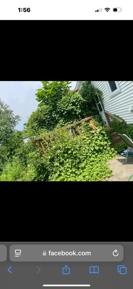 Professional landscape installation for beautiful yards across Watervliet, NY - Five one scape