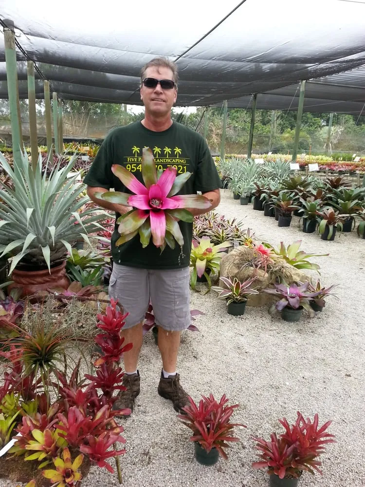 Expert outdoor landscaping experts serving Fort Lauderdale, FL - Five Palms Landscaping