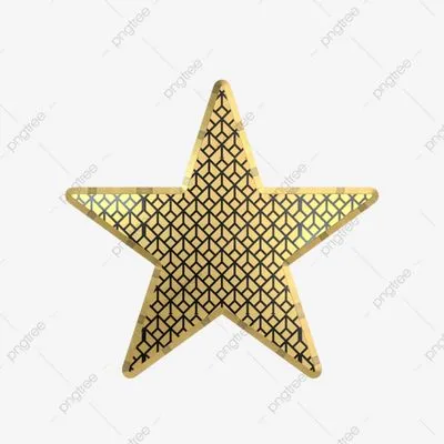 Five Point Star Landscaping Logo