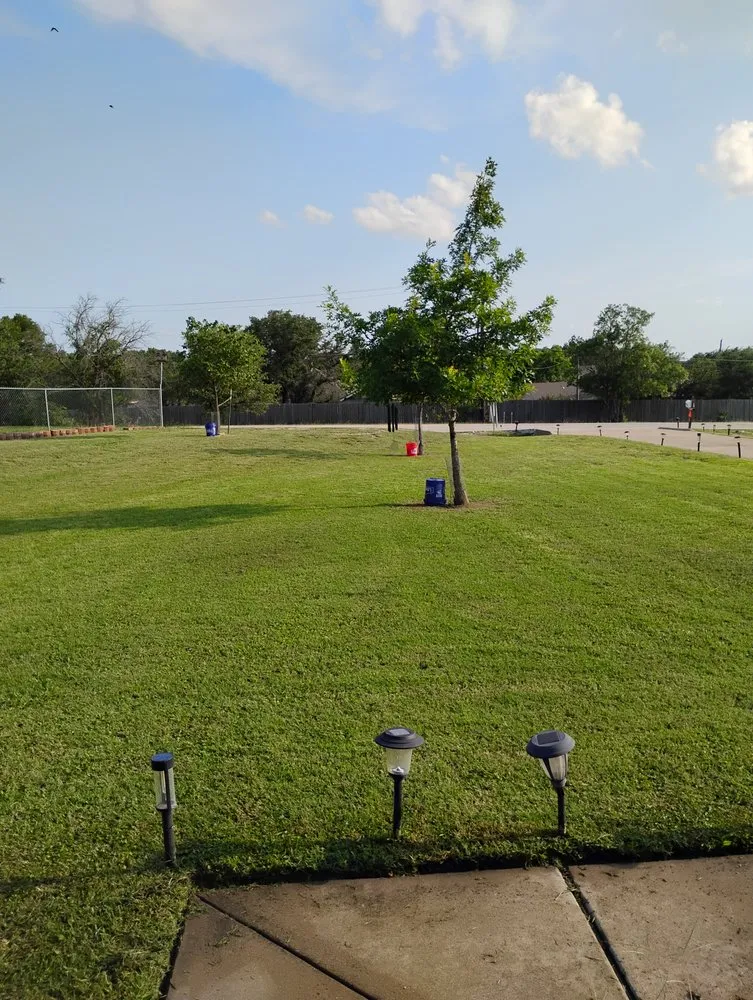 Trusted landscape installation experts serving Brock, TX - Five Points Handyman and Landscaping