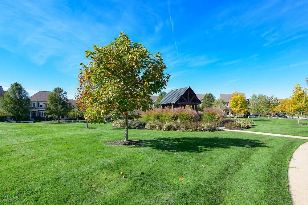 Professional yard maintenance experts serving Reynoldsburg, OH - Five Seasons Landscape