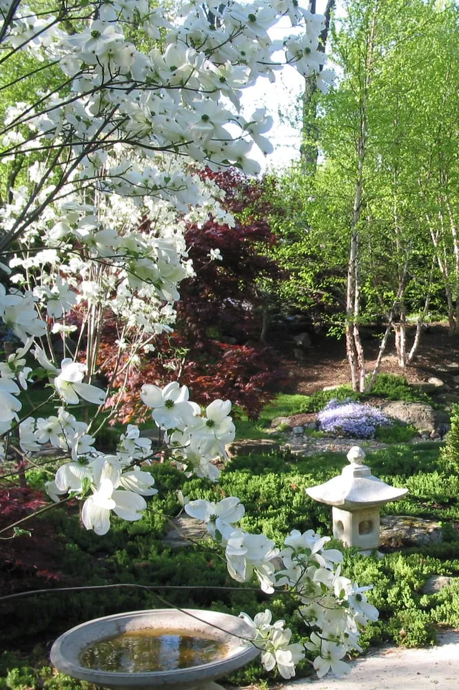 Custom yard maintenance experts serving Silver Spring, MD - Five Seasons Landscaping