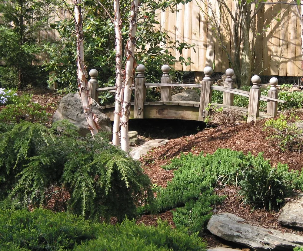 Top-rated landscaping services in Silver Spring, MD by Five Seasons Landscaping