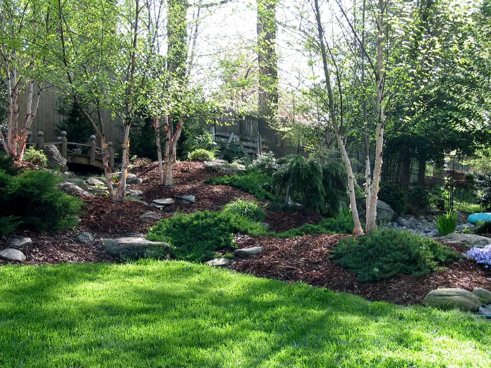 Trusted lawn mowing service experts serving Silver Spring, MD - Five Seasons Landscaping