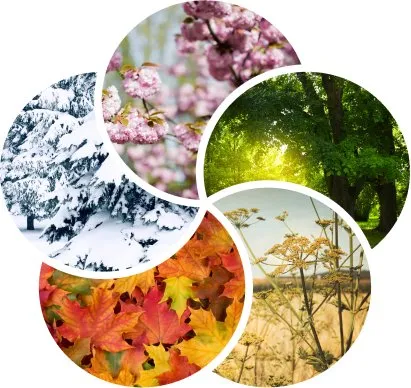 Professional residential landscaping in West Carrollton, OH by Five Seasons