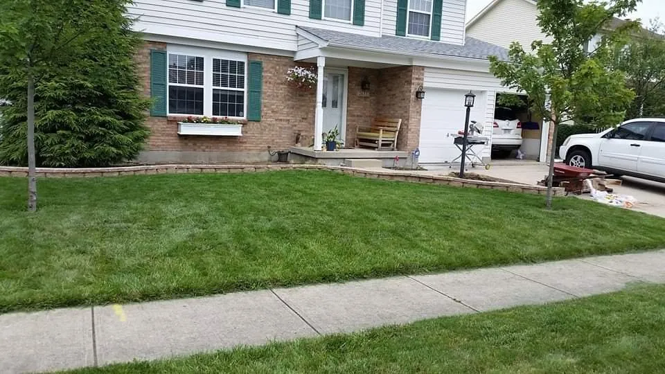 Top-rated yard cleanup service experts serving West Carrollton, OH - Five Seasons