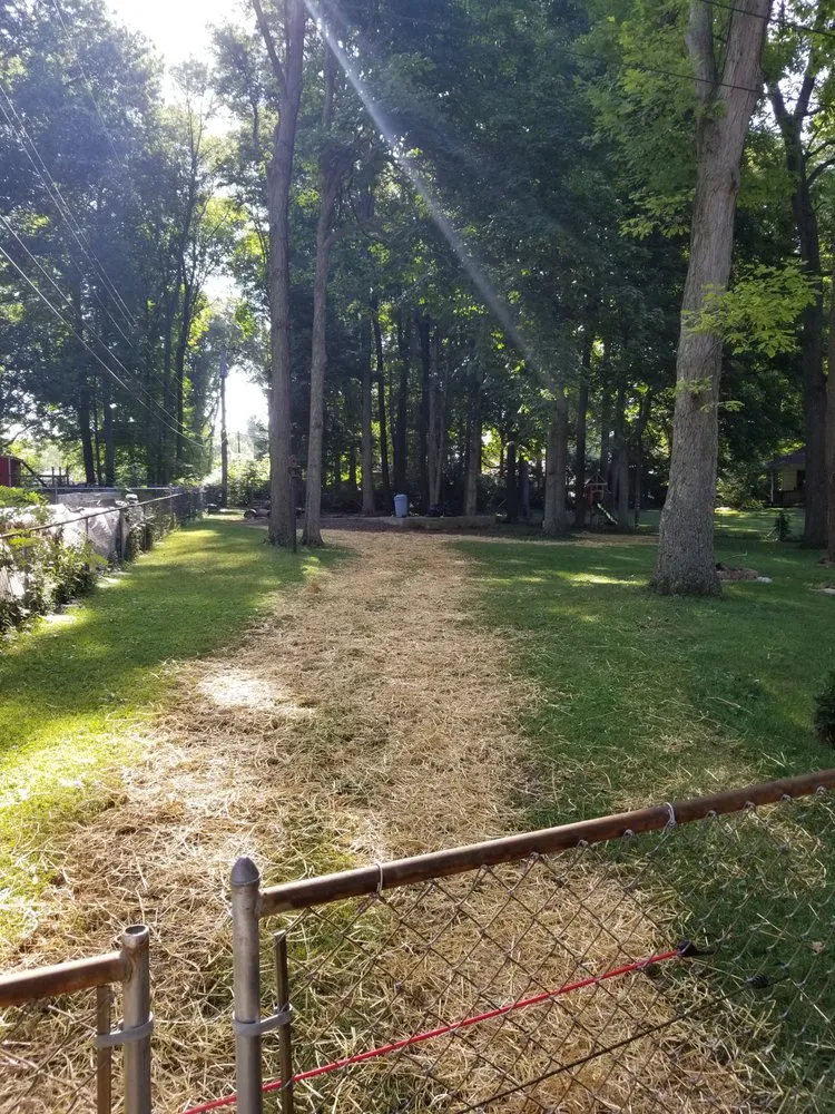 Professional lawn mowing service experts serving West Carrollton, OH - Five Seasons