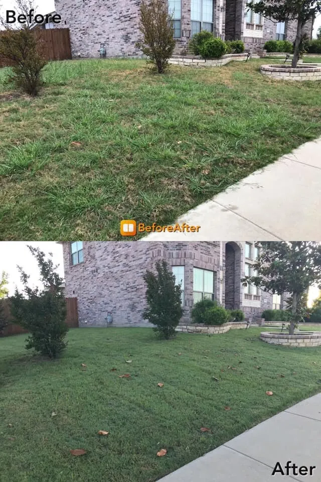 Affordable outdoor landscaping in Rockwall, TX - Five Star Fertilizing & Weed Control