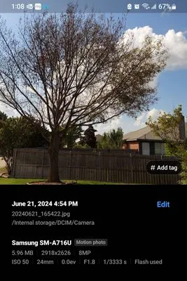 Five Star Fertilizing & Weed Control Logo